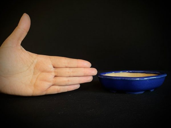 EMK-20I-7025 IKKO MOKKO ESMALTADA