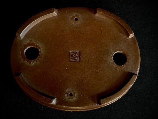 SOV-2022I-9300 SHIBAKATSU OVALADA SIN ESMALTAR