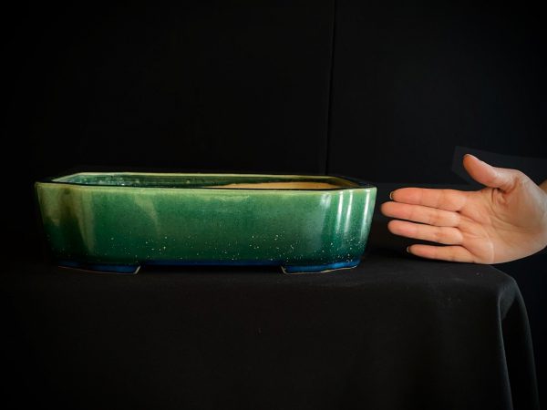 60466 KAZUHIRO RECTANGULAR ESMALTADA