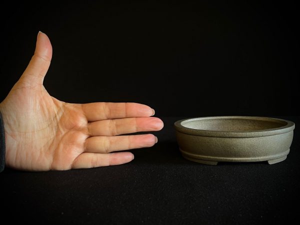 60624 SHIBAKATSU OVALADA SIN ESMALTAR