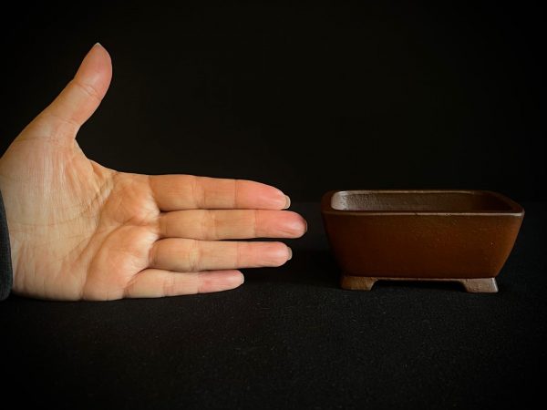 60671 SHIBAKATSU RECTANGULAR SIN ESMALTAR
