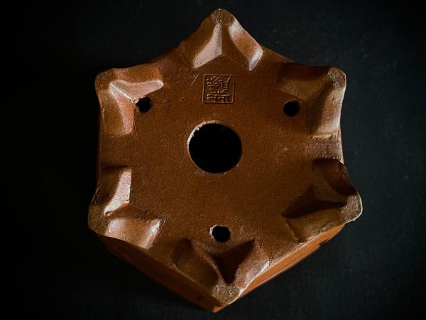 60695 SHIBAKATSU HEXAGONAL SIN ESMALTAR