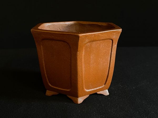 60695 SHIBAKATSU HEXAGONAL SIN ESMALTAR