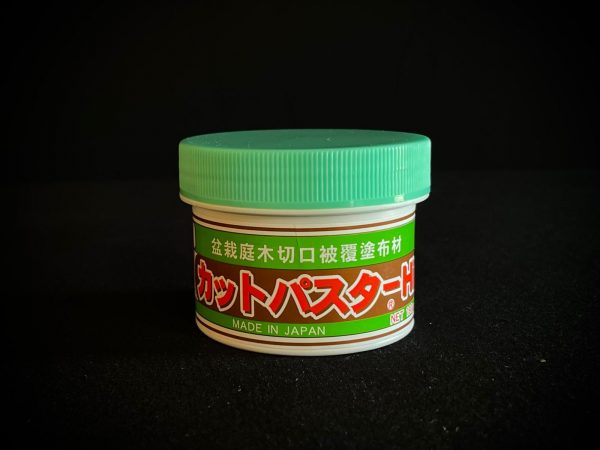 PCA Pasta selladora sólida caducos 190gr