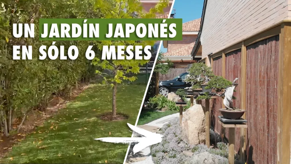 Cómo tener un jardín japonés espectacular en 6 meses - A spectacular Japanese garden in only 6 months