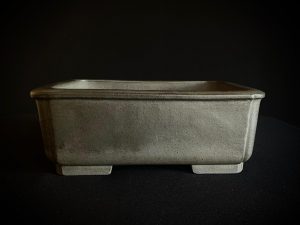 61636 SEIBUN RECTANGULAR SIN ESMALTAR