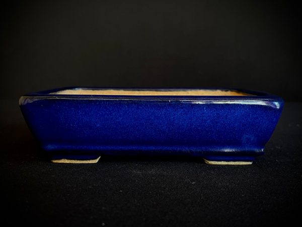 61818 HATTORI RECTANGULAR ESMALTADA