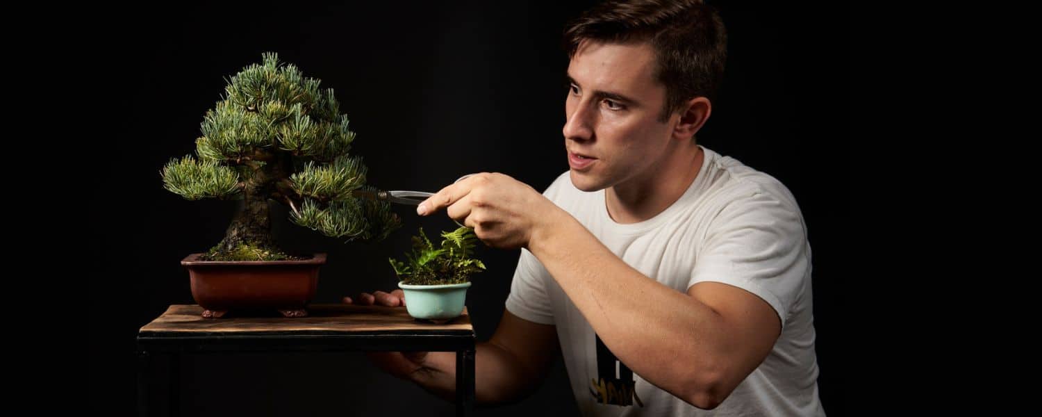 Curso bonsai Medio German Colmenares