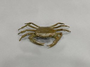61974 CANGREJO TEMPAI IRREGULAR -