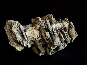 61987 Roca Ibigawa No 1