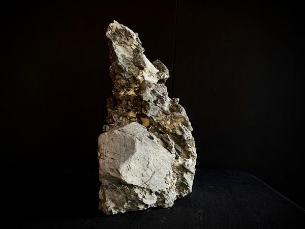 61988 Roca Ibigawa No 2