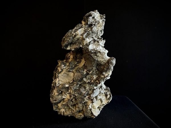 61988 Roca Ibigawa No 2