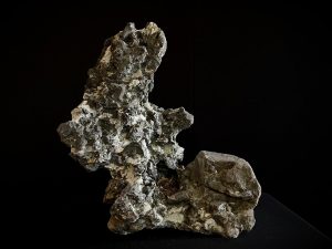 61988 Roca Ibigawa No 2
