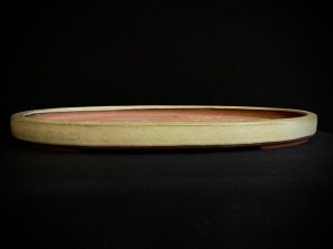 25I-AJP-08 THC-1898 SUISHOEN OVALADA ESMALTADA