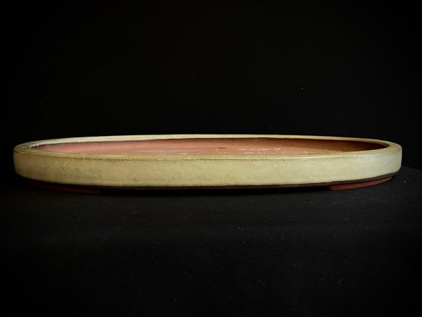 25I-AJP-08 THC-1898 SUISHOEN OVALADA ESMALTADA