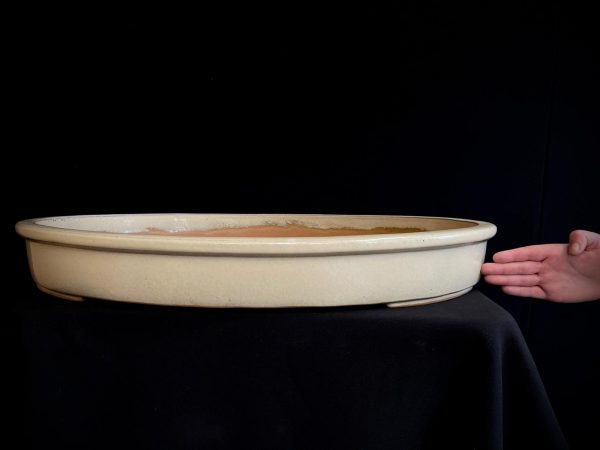 25I-M3/M4 CREAM OVAL GLAZED 66CM OVALADA ESMALTADA