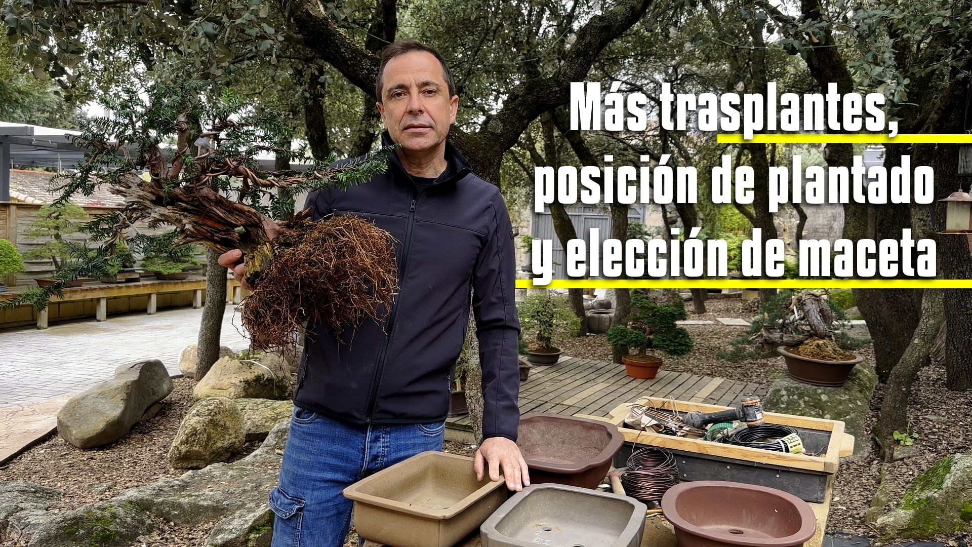 Mas trasplantes, posición de plantado y selección de maceta
