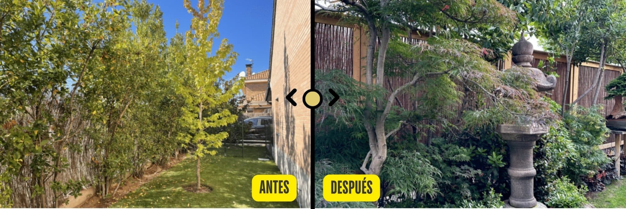 Diseño y Creación de Jardines Japoneses Borja antes y despues