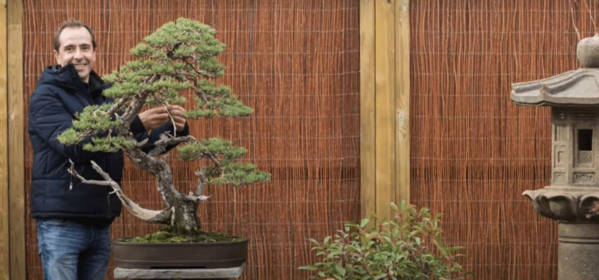David en Diseño y Creación de Jardines Japoneses DIego Cuasante