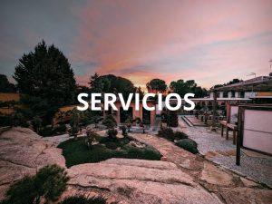 Servicios especializados en bonsái