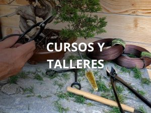Cursos y Talleres