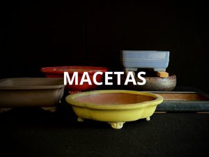 Macetas