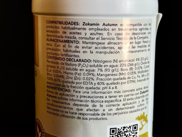 62150 ZOKA AUTUM