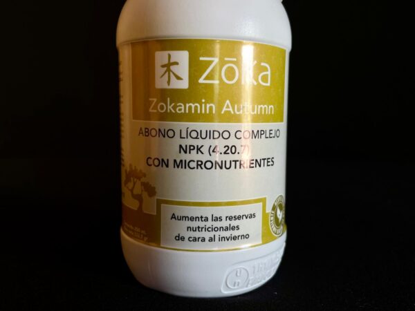 62150 ZOKA AUTUM