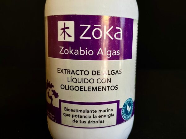 62152 ZOKA ALGAS