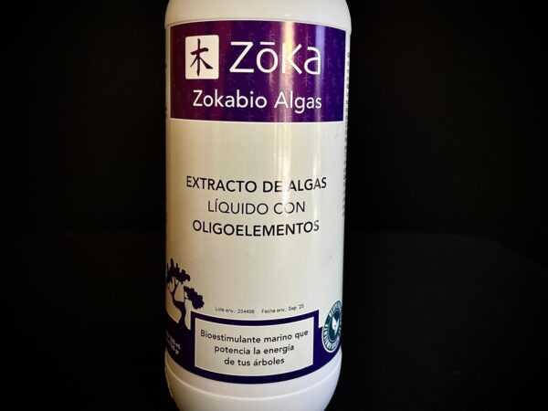 62153 ZOKA ALGAS (1l)