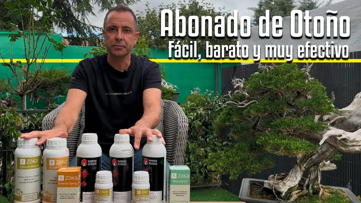 Abonado de otoño para bonsái