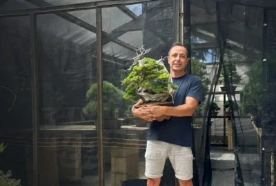David Benavente sacando de la cuarentena a un bonsai. . Servicio de guarderia de árboles