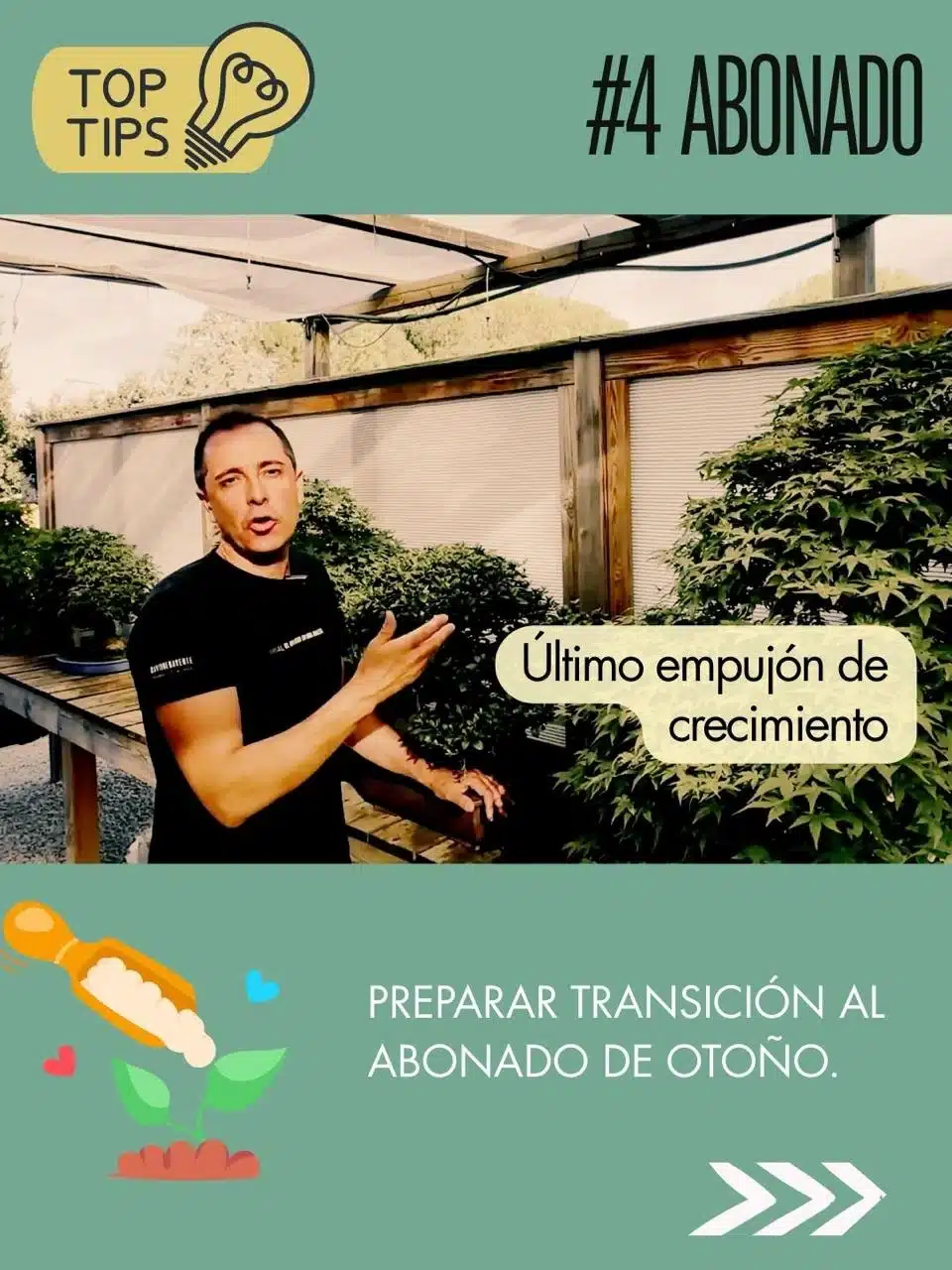 Tips de David Benavente para el cuidado del bonsái en septiembre : Abono