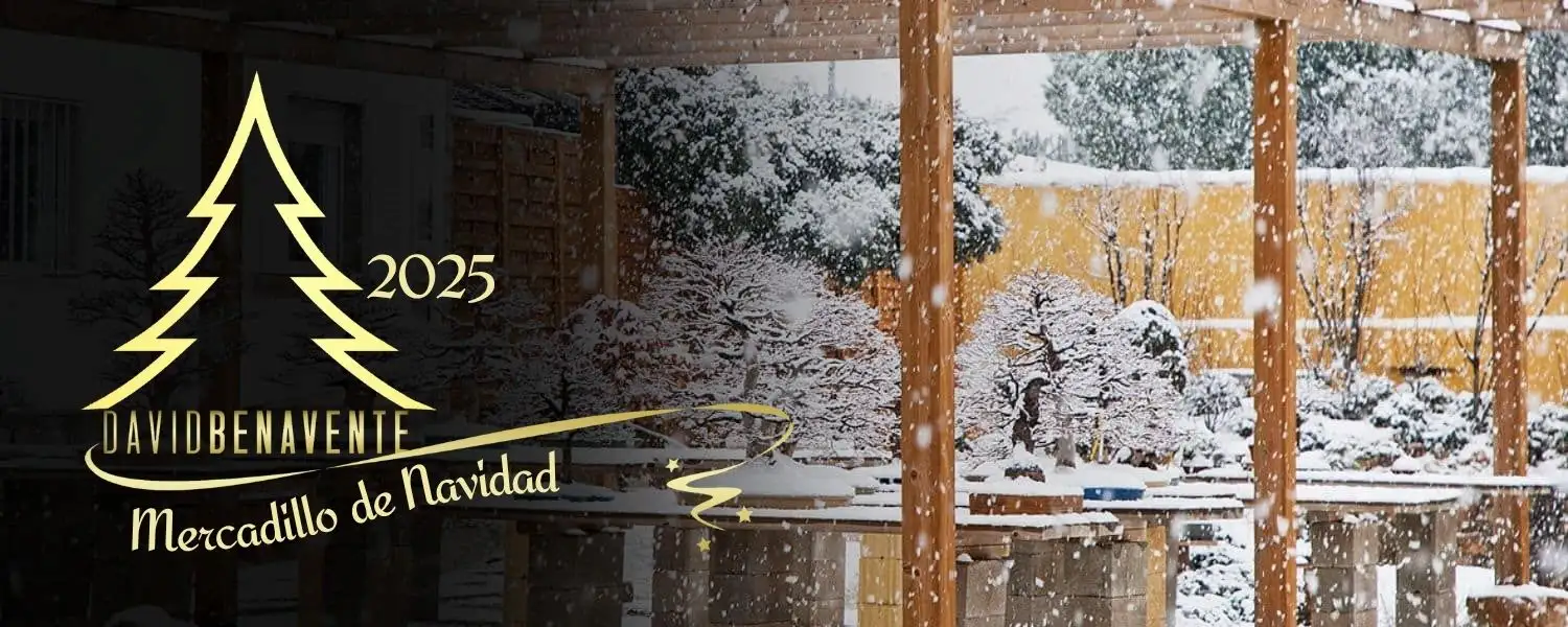 Mercadillo de Navidad