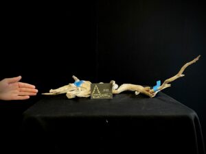 JAC13-21 Lote tanukis