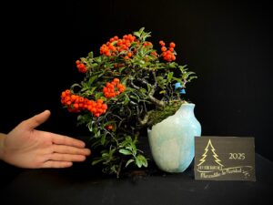 10. LC10-02 Pyracantha