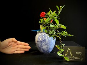 PYRACANTHA (PEQUEÑA)