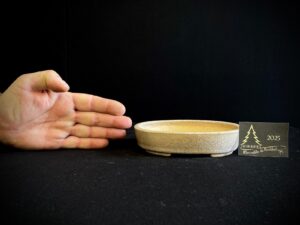 MAA27-08 MACETA KOYO PRIMERA GENERACIÓN