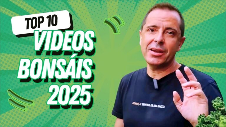 Top 10 vídeos de bonsái más vistos de David Benavente en 2025