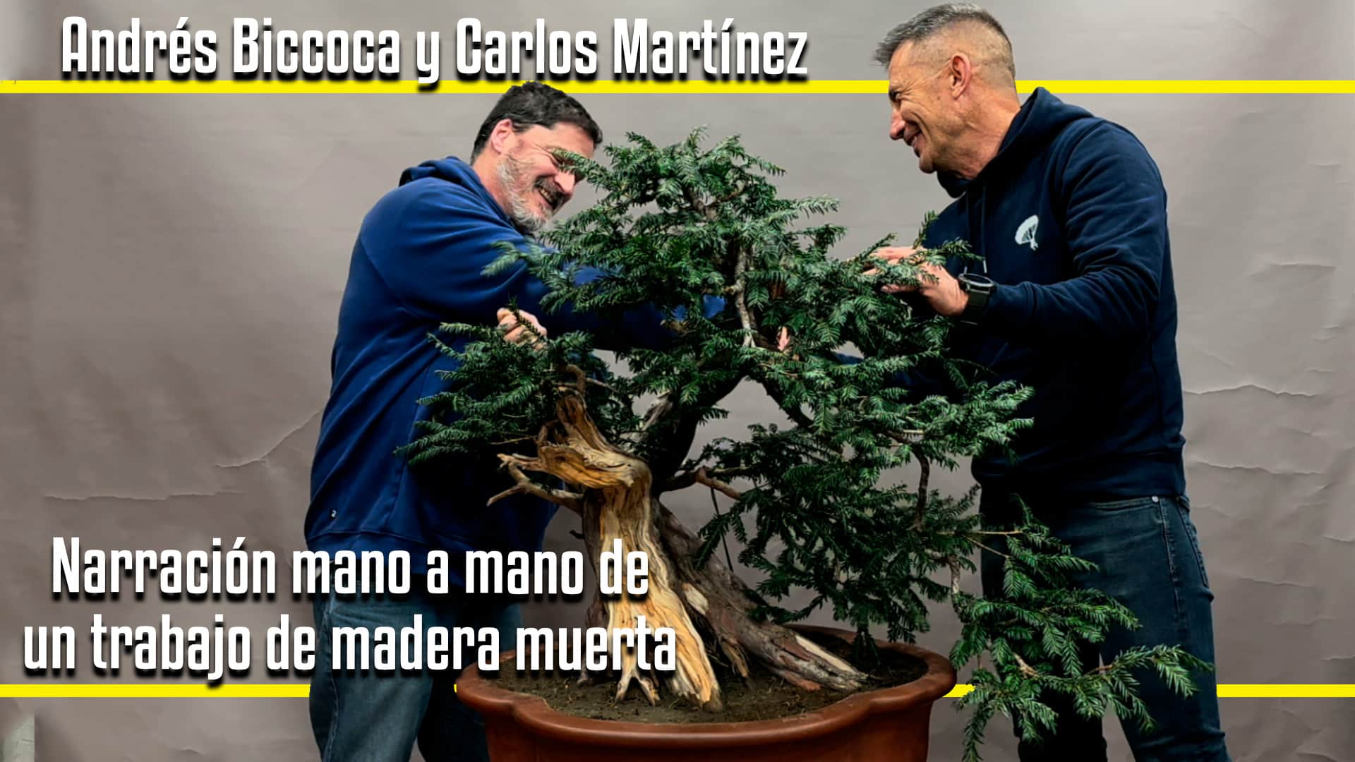 Trabajo de madera muerta en tejo por Andrés Bicoca