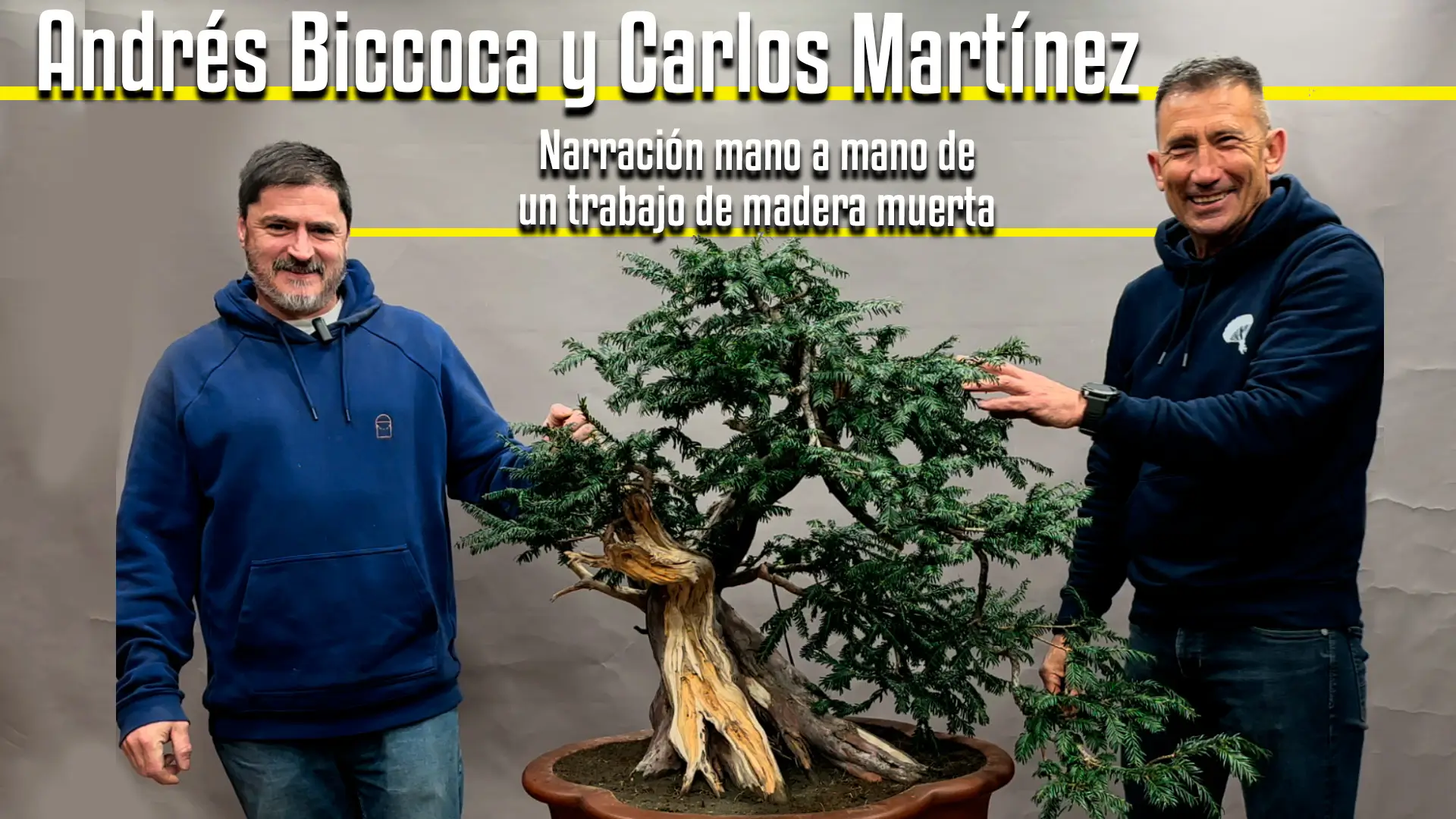 Trabajo de madera muerta en tejo por Andrés Bicoca