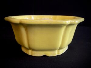 MACETA SHIBAKATSU HEXAGONAL ESMALTADA