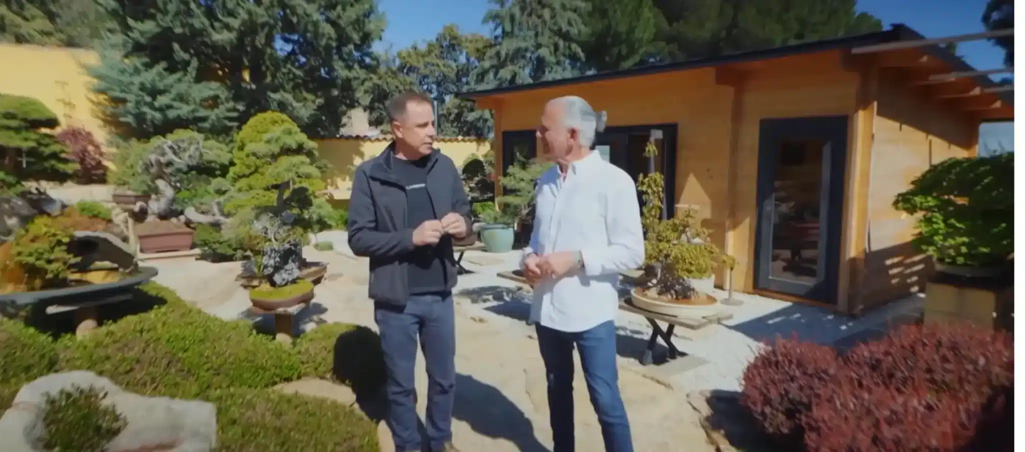 David Benavente con Juan Ramón Lucas: El Arte del Bonsái en Telemadrid