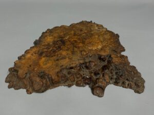 JITA DE EXPOSICIÓN IRREGULAR MARRÓN