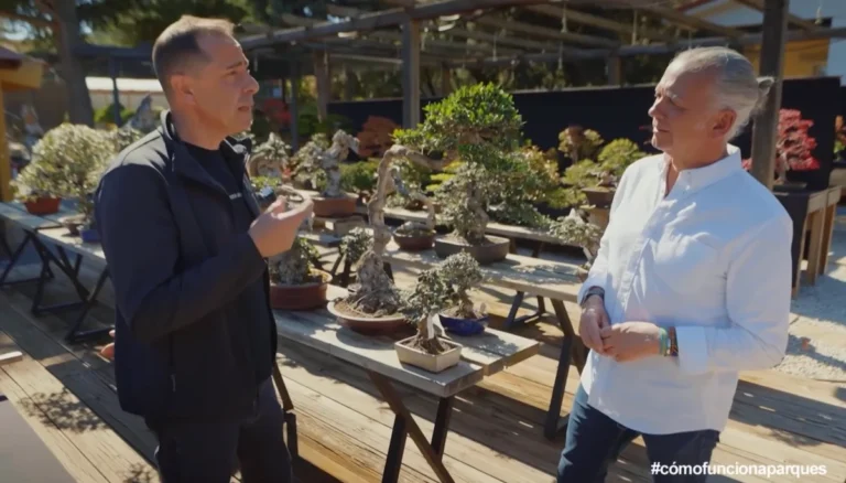 David Benavente entrevistado por José Ramón Lucas en Telemadrid sobre el arte del bonsái.