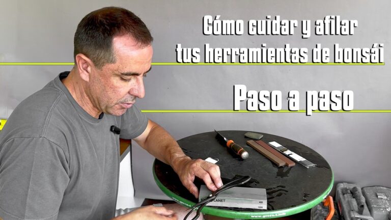 Cómo cuidar y afilar herramientas de bonsái paso a paso