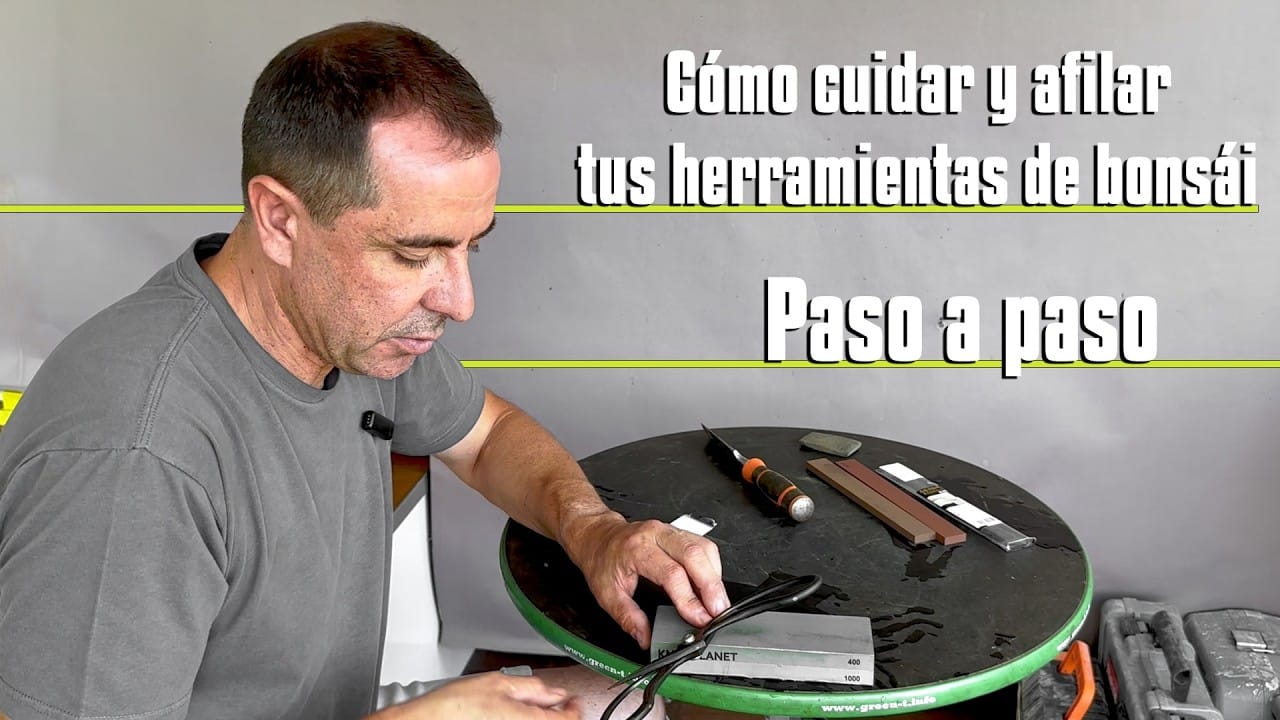 Cómo cuidar y afilar herramientas de bonsái paso a paso